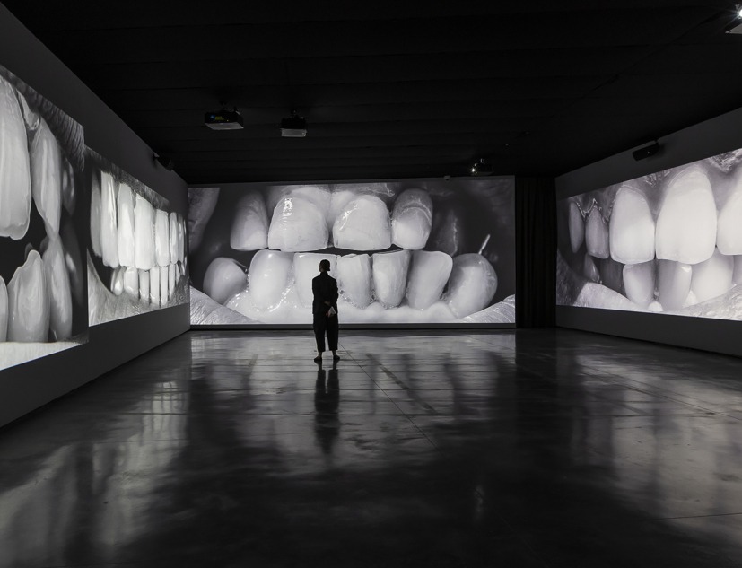 2068 Teeth (2022- 2025), Santiago Sierra. Photograph by Jorge Armestar. Courtesy of Santiago Sierra Studio and Helga de Alvear Museum.