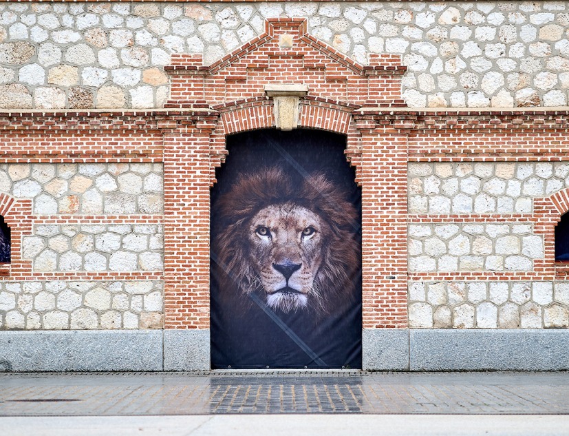 "The Animals" by Estela de Castro. Photograph by Fernando Tribiño / Matadero Madrid