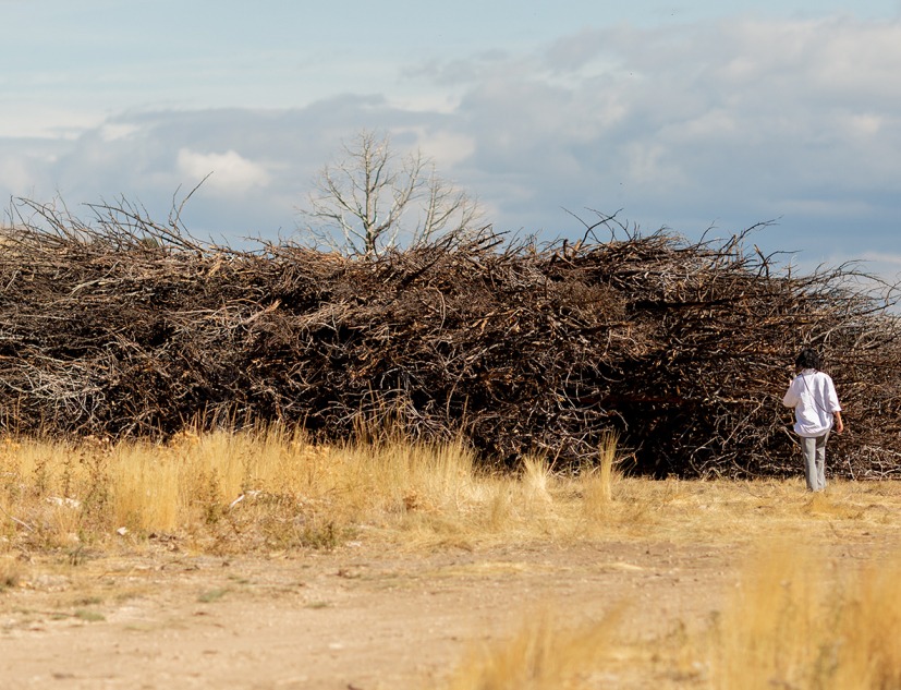 Socarrado by Nomad Studio. Photograph by Almudena Cadalso 
