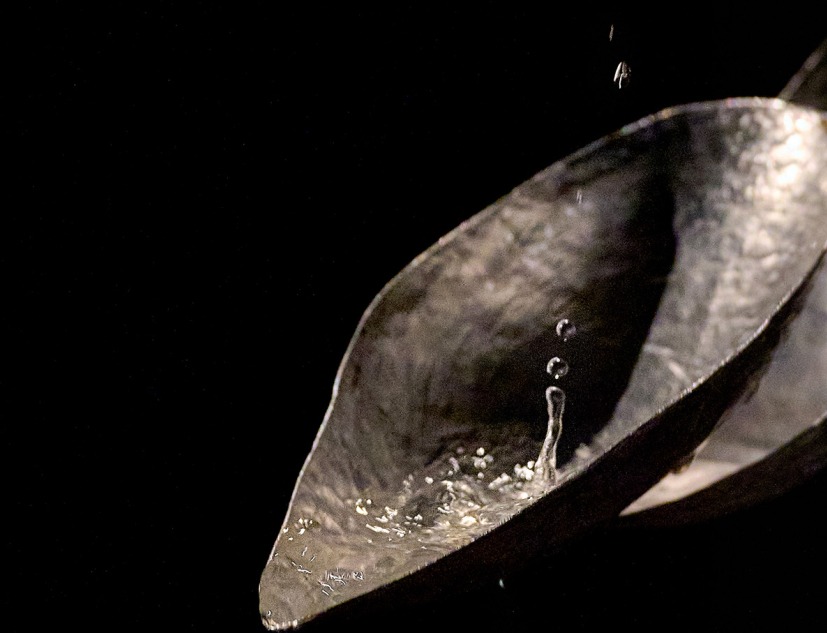 Lengua en coro, cuenta por Cristina Mejías. Fotografía por Fernando Tribiño