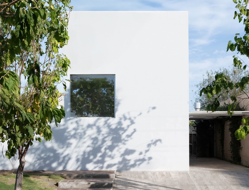 Casa para un árbol por Esteras Perrote. Fotografía por Juan Cruz Paredes
