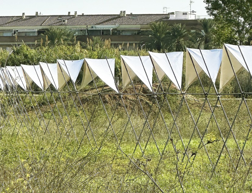 Pabellón 100 metros lineales por Pablo Paradinas Sastre y Eletres Studio. Fotografía por Pablo Paradinas Sastre y Eletres Studio 