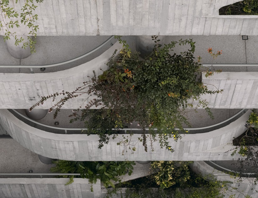 C294 Apartments by Michan Architecture. Photograph by Cesar Belio