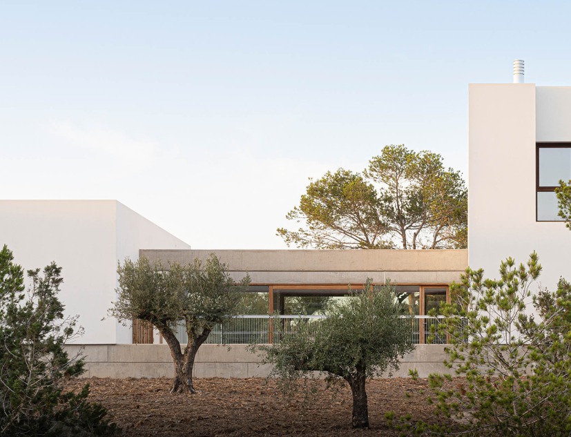 Ses Clotades by Marià Castelló. Photograph by Marià Castelló