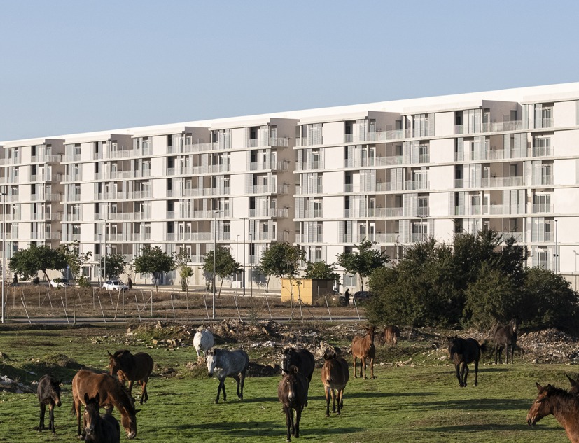 125 viviendas de protección oficial por Daroca Arquitectos + Práctica Arquitectura. Fotografía por Fernando Alda 