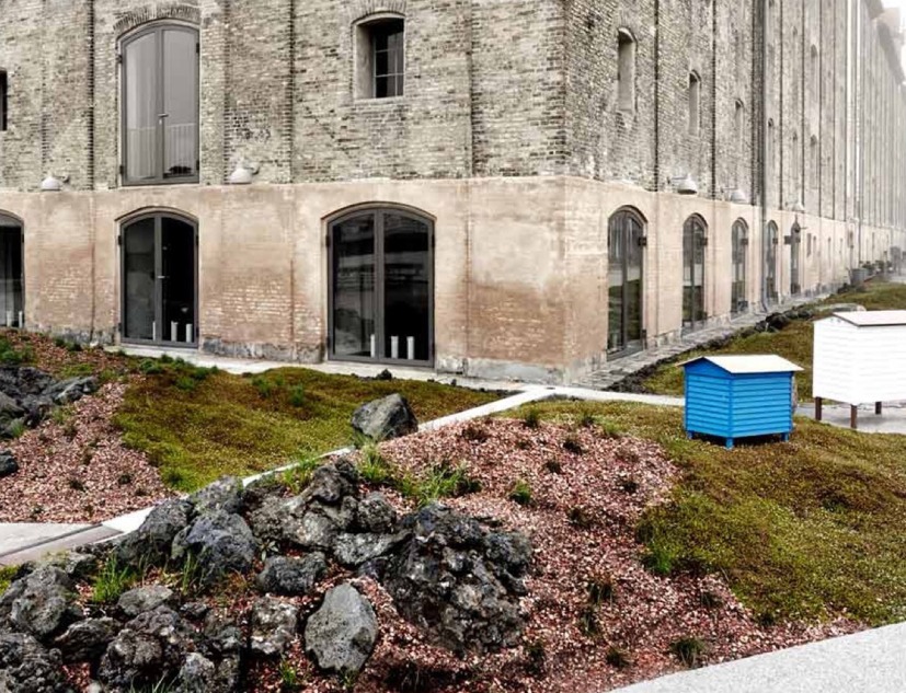 Paisaje nórdico para Noma por Polyform. Fotografía por Wichmann + Bendtsen