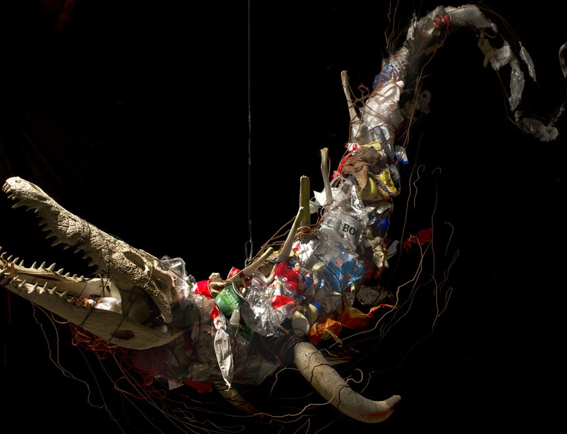 Animal Marino (2013). Estructura colgante que evoca un marino que mide 2,3m x 1,5m. Cráneo de cocodrilo, astas deAnimal Marino (2013). Estructura colgante que evoca un marino que mide 2,3m x 1,5m. Cráneo de cocodrilo, astas de toro, vértebras de vacuno, alambre y basura. Exposición «Vida Tóxica. Somos naturaleza en evolución tóxica». Fotografía por Carlos Bellvehí