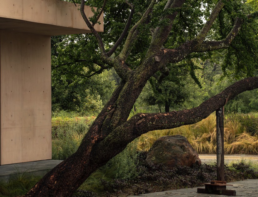 Bosquet por Perimetral + AE Arquitectos. Fotografía por Jesús López Cinco