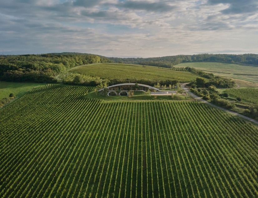Bodega Gurdau por Aleš Fiala. Fotografía por BoysPlayNice