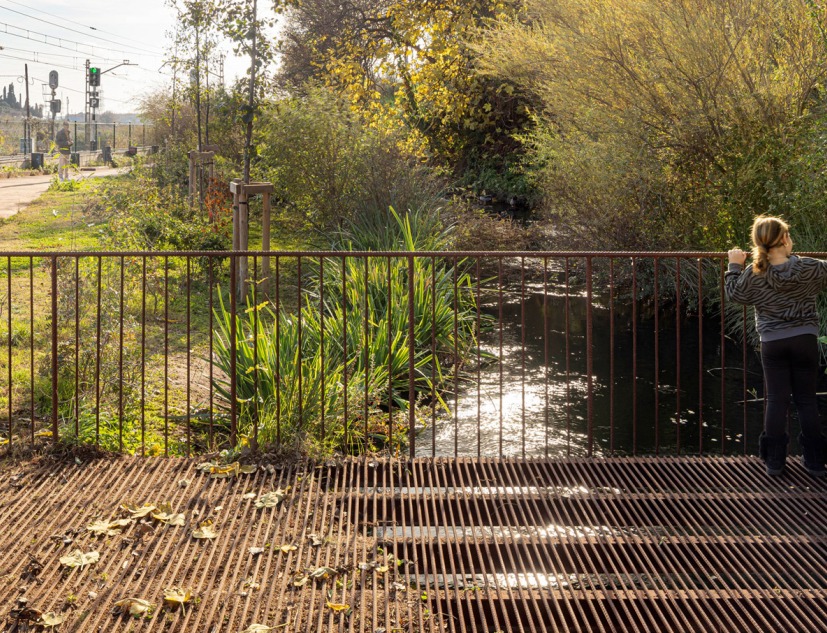 Restauración ambiental del entorno del Rec Comtal por Carles Enrich. Fotografía por Adrià Goula