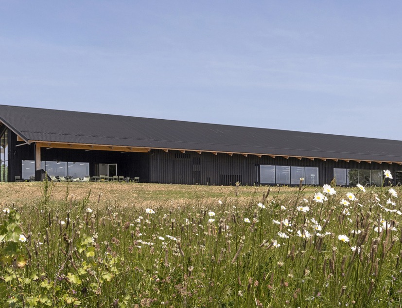 Sormonne Leather Goods by Coldefy. Photograph by Gautier Deblonde