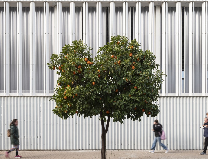 Ferrobús Pavilion by Eovastudio. Photograph by Fernando Alda