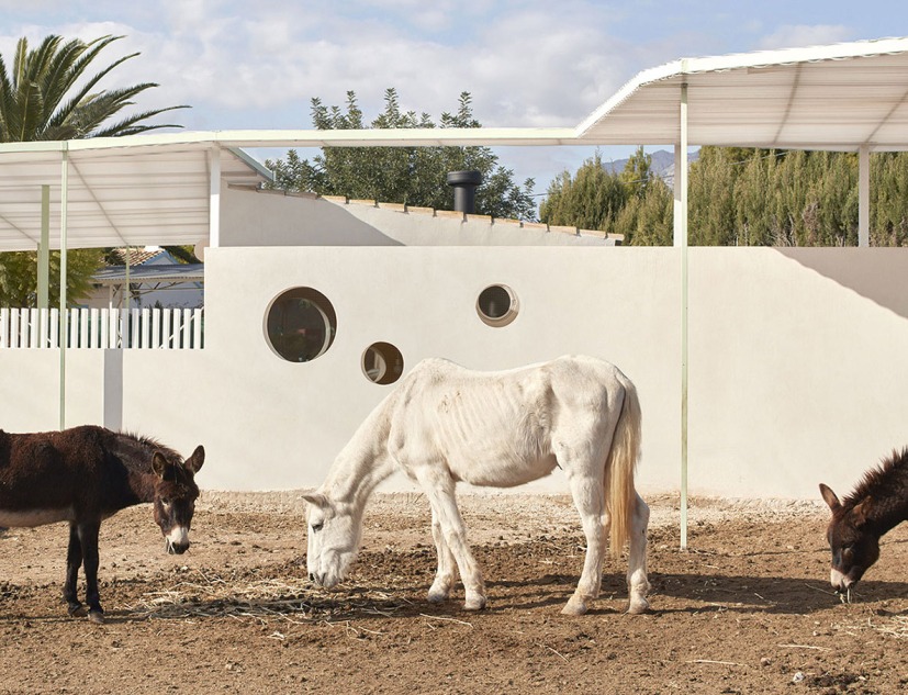 Las Cuadras by Estudio Ji Arquitectos. Photograph by Mariela Apollonio