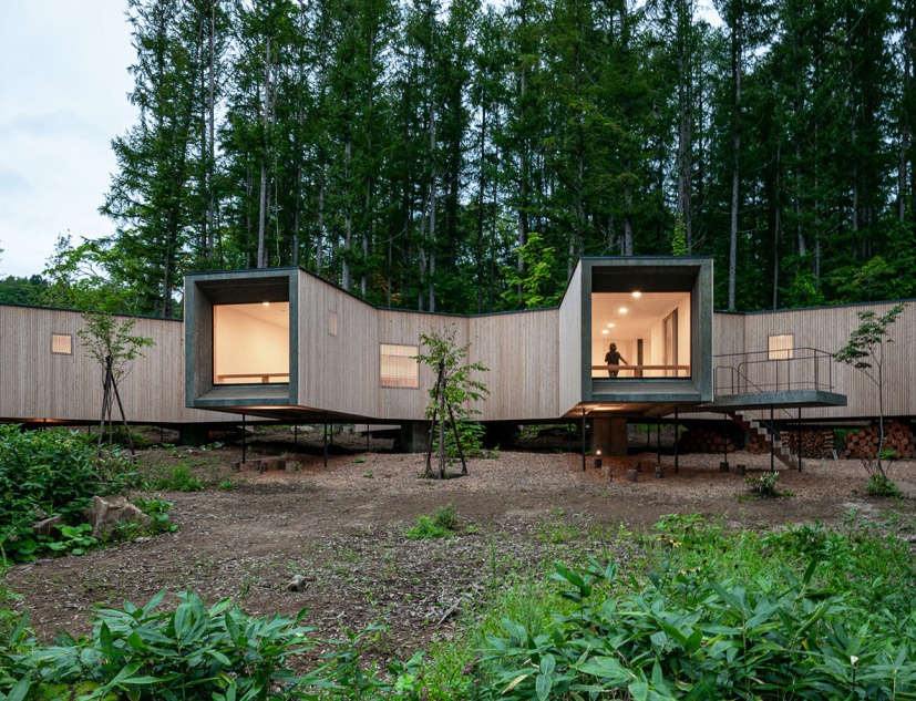 House in the Forest by Florian Busch Architects. Photograph by FBA