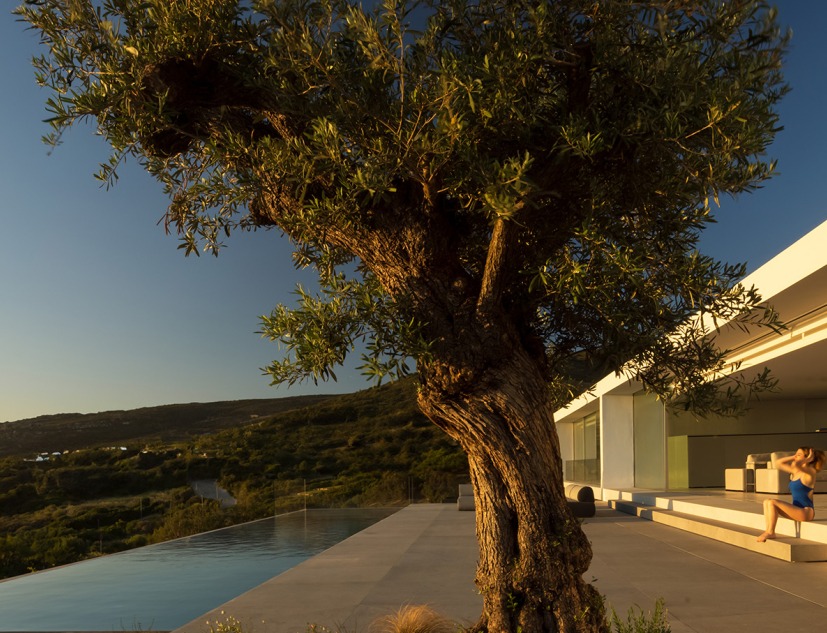 Casa en el aire por Fran Silvestre Arquitectos. Fotografía por Fernando Guerra