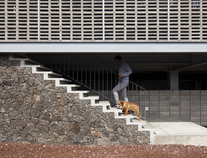 Corporativo Dunza por Morari Arquitectura + JAA. Fotografía por Adrián Llaguno