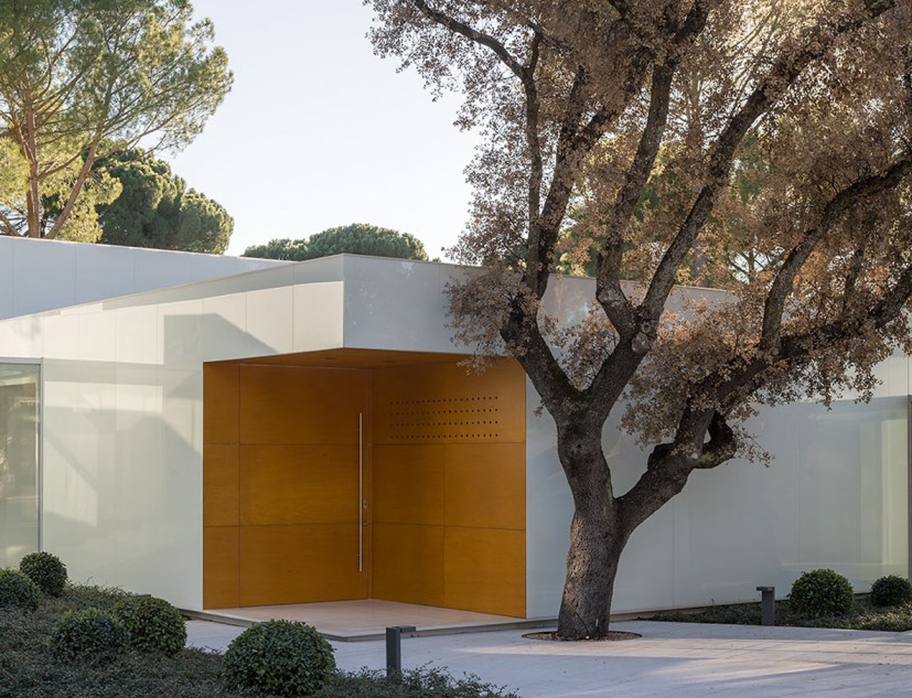House among pine trees by Olalquiaga Arquitectos. Photograph by Imagen Subliminal