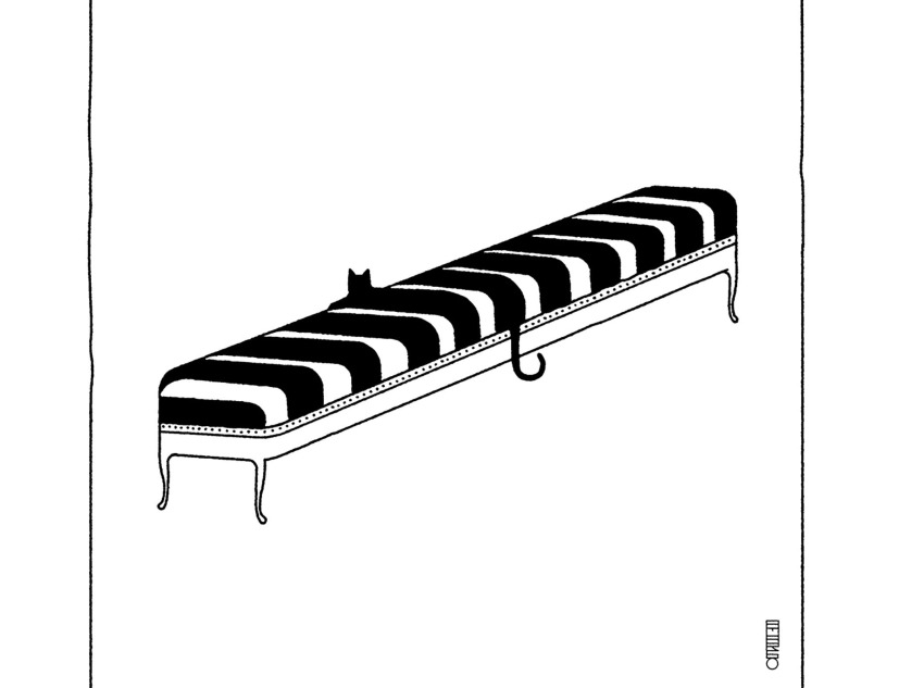Pablo Amargo. Cats are paradoxes, 2017. Cortesía del Museo ABC