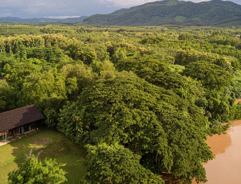 Mekong House by PAVA architects. Photograph by Spaceshift Studio