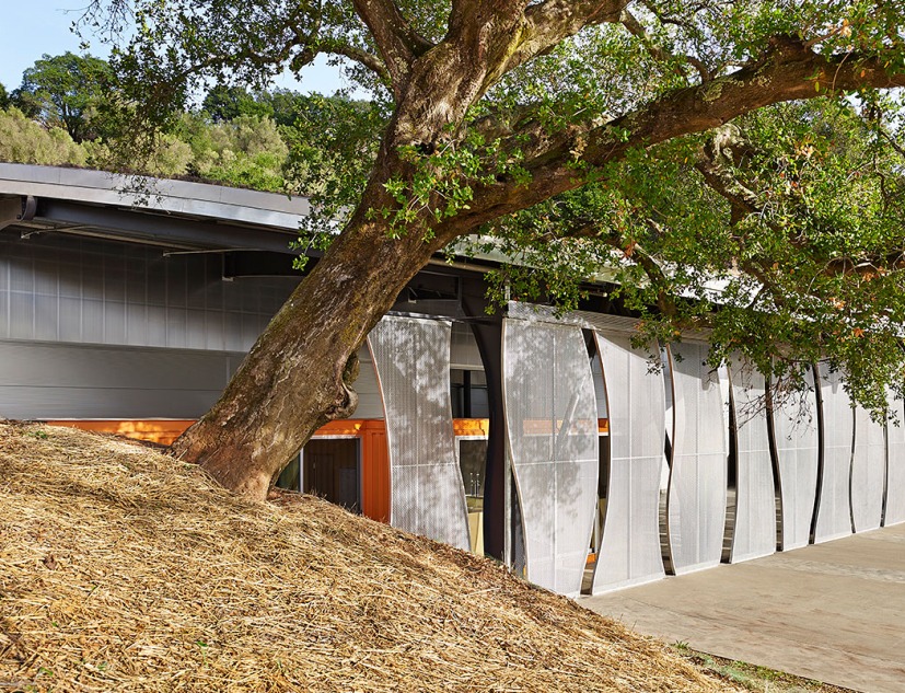 Bodega Odette Estate por Signum Architecture LLP. Fotografía © Adrian Gregorutti