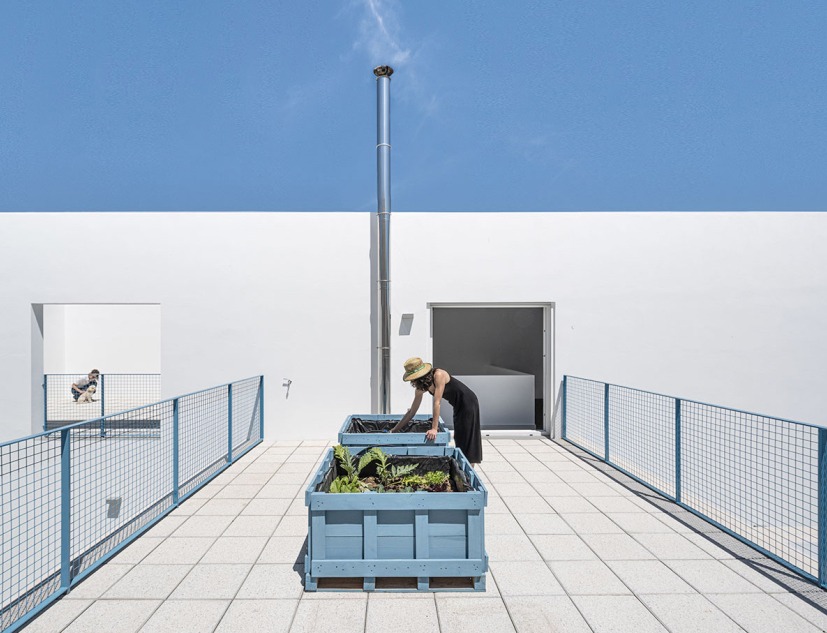 Casa RR by Vida Architecture and Matriz Arquitectura. Photograph by Jesus Granada