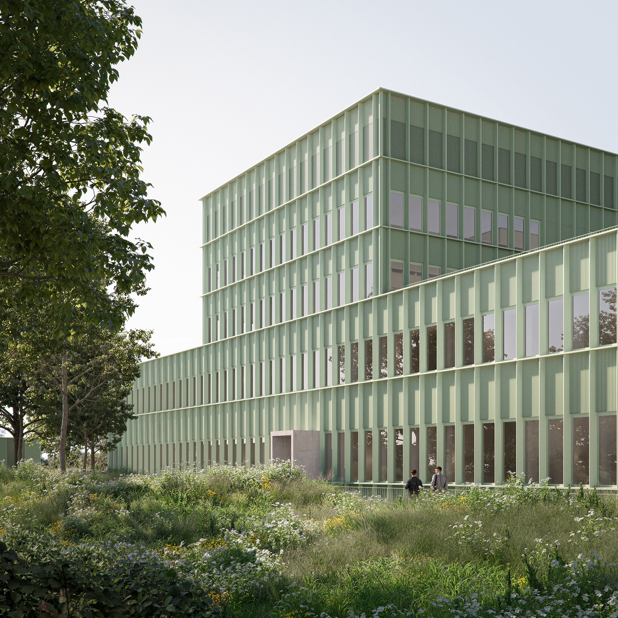 House of Physics by mohr niklas architekten. Visualization by THIRD House of Physics by mohr niklas architekten. Visualization by THIRD