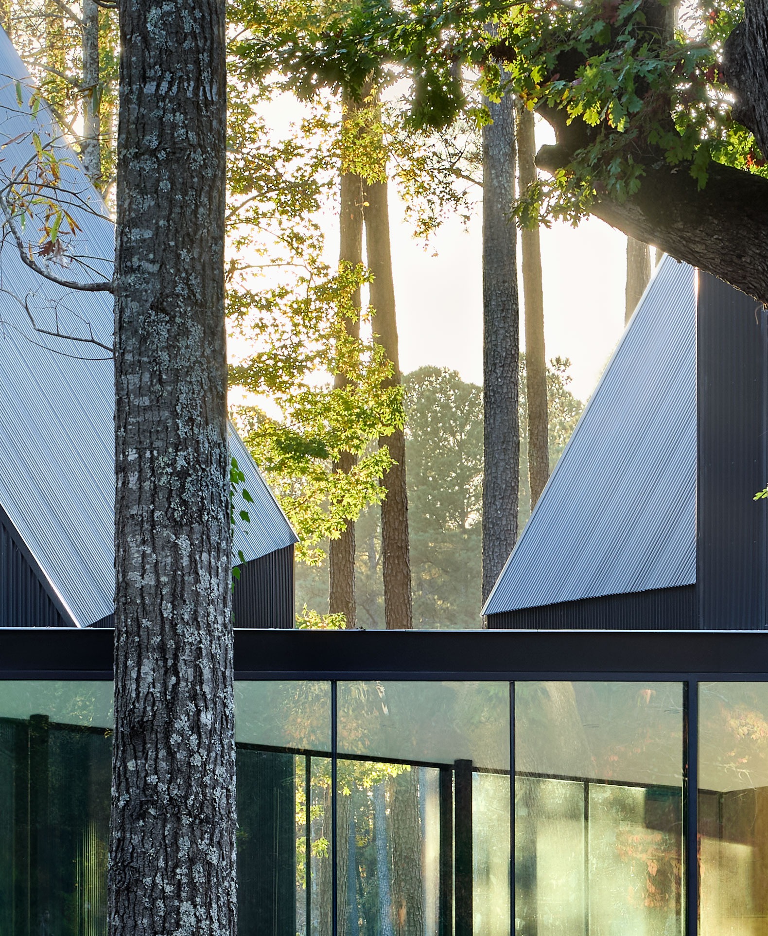Steeplechase House by Brooks + Scarpa. Photograph by Mark Herboth Steeplechase House by Brooks + Scarpa. Photograph by Mark Herboth