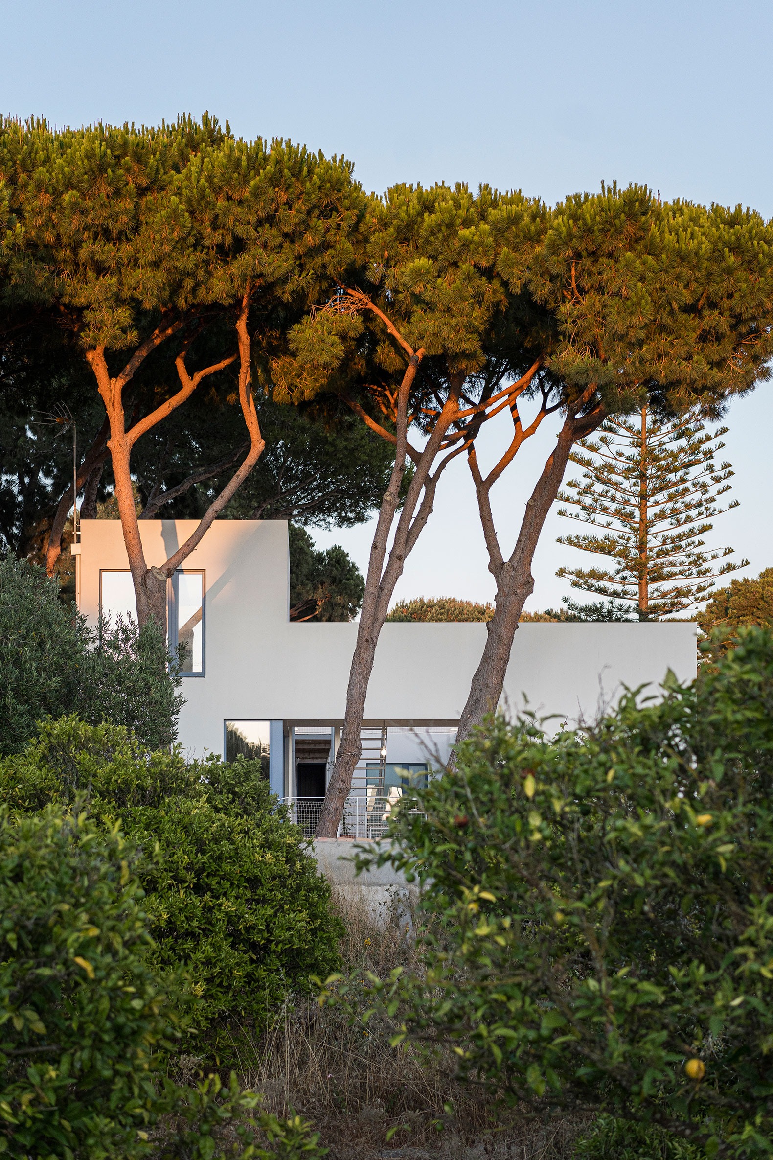 Casa-cortijo urbano por José Manuel Martínez Rodríguez. Fotografía por Juan Carlos Lagares. Casa-cortijo urbano por José Manuel Martínez Rodríguez. Fotografía por Juan Carlos Lagares.