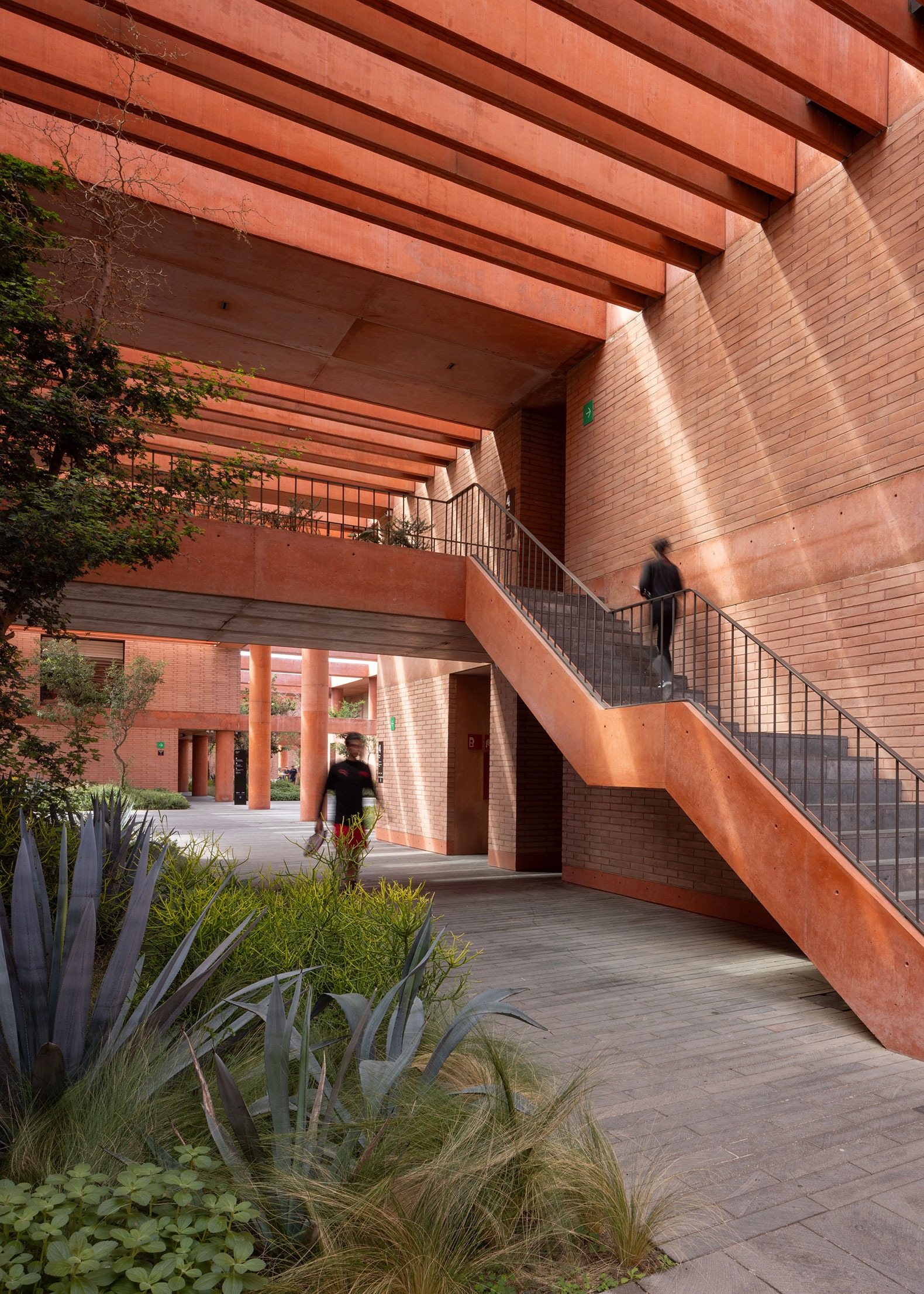 Atlas Football Academy by Sordo Madaleno. Photograph by Oscar Caballero.