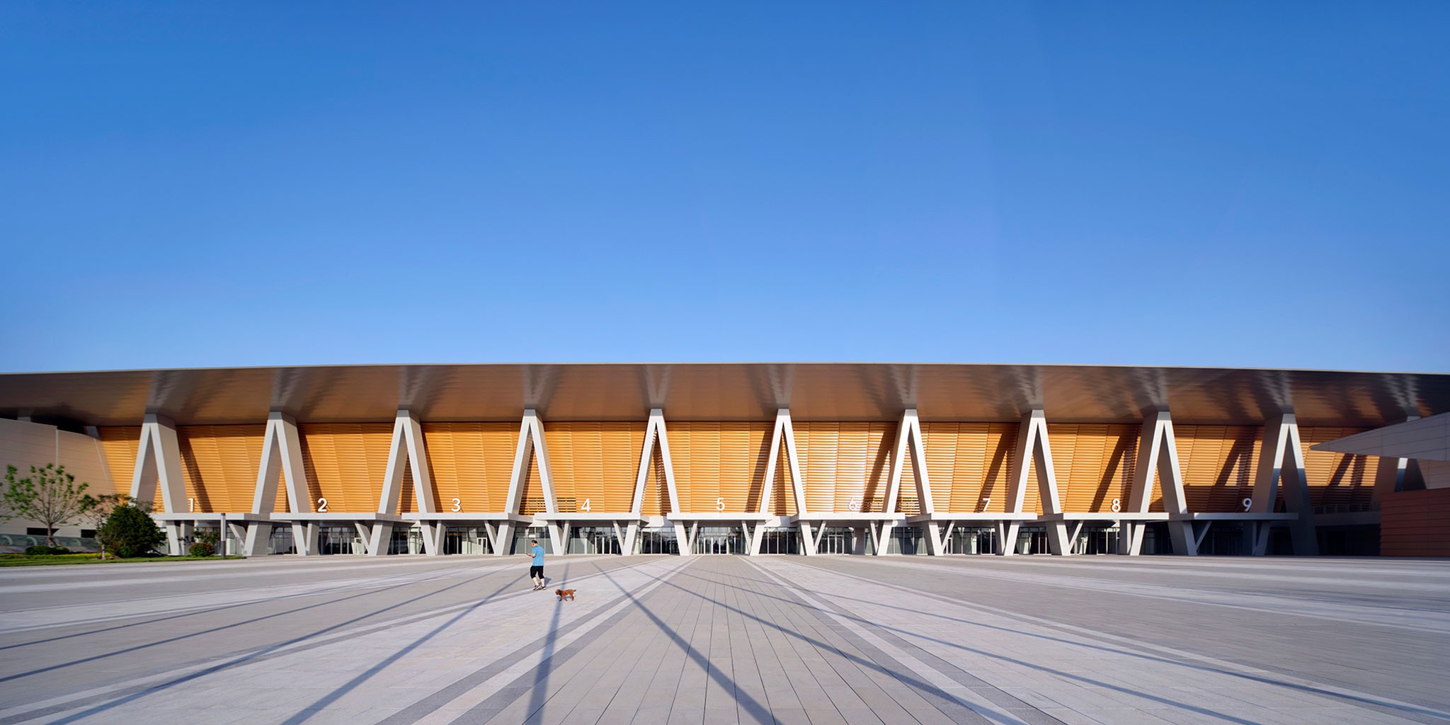 Yellow River Delta Agricultural Product Trading Service Center by UAD. Photograph by ZY Studio. Yellow River Delta Agricultural Product Trading Service Center by UAD. Photograph by ZY Studio.