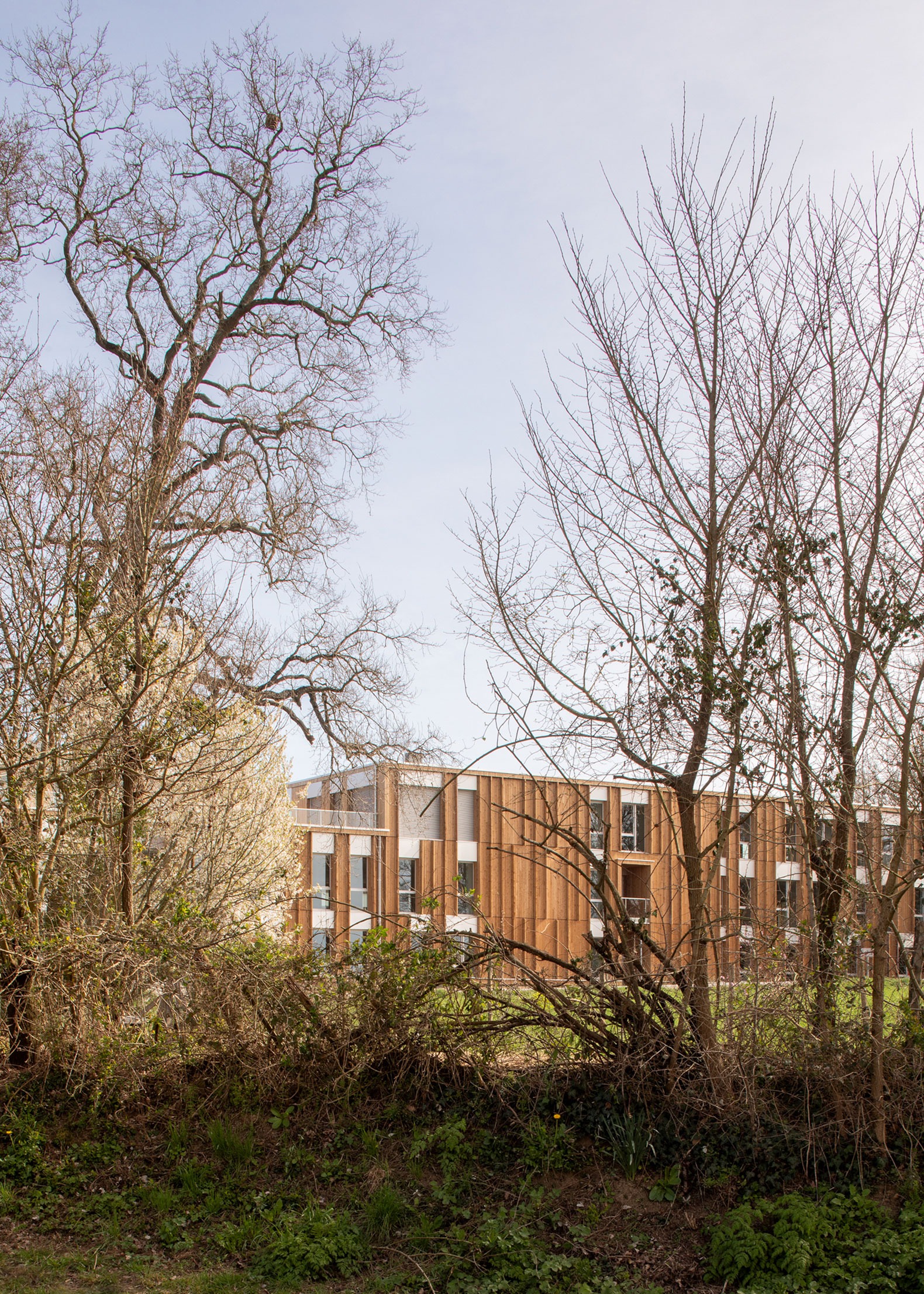 "Bois Harel" by Alta Architectes. Photograph by Gaëtan Chevrier. "Bois Harel" by Alta Architectes. Photograph by Gaëtan Chevrier.