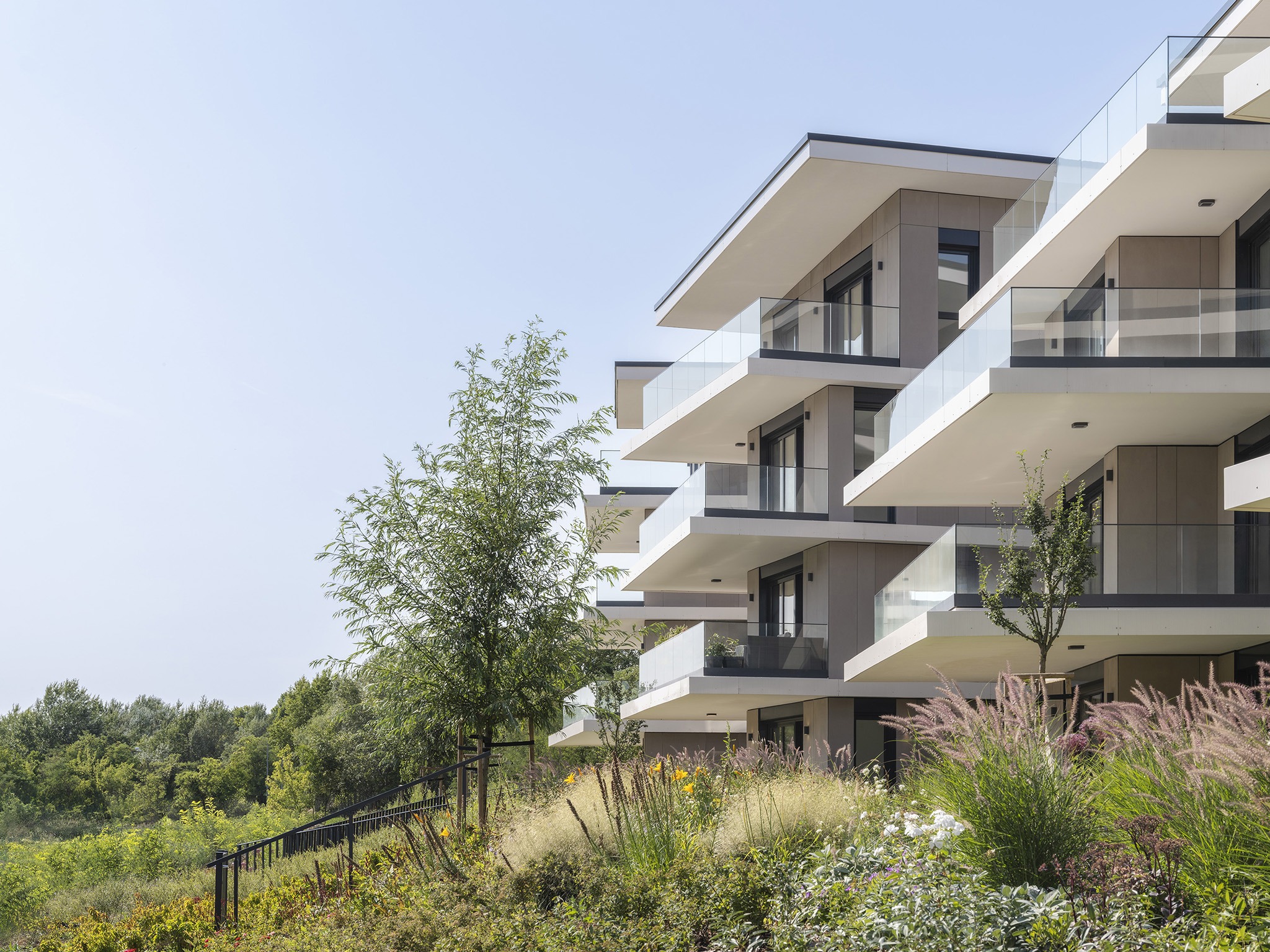 Lake 11 Home & Park by Coldefy and DDS. Photograph by Tamás Bujnovszky.