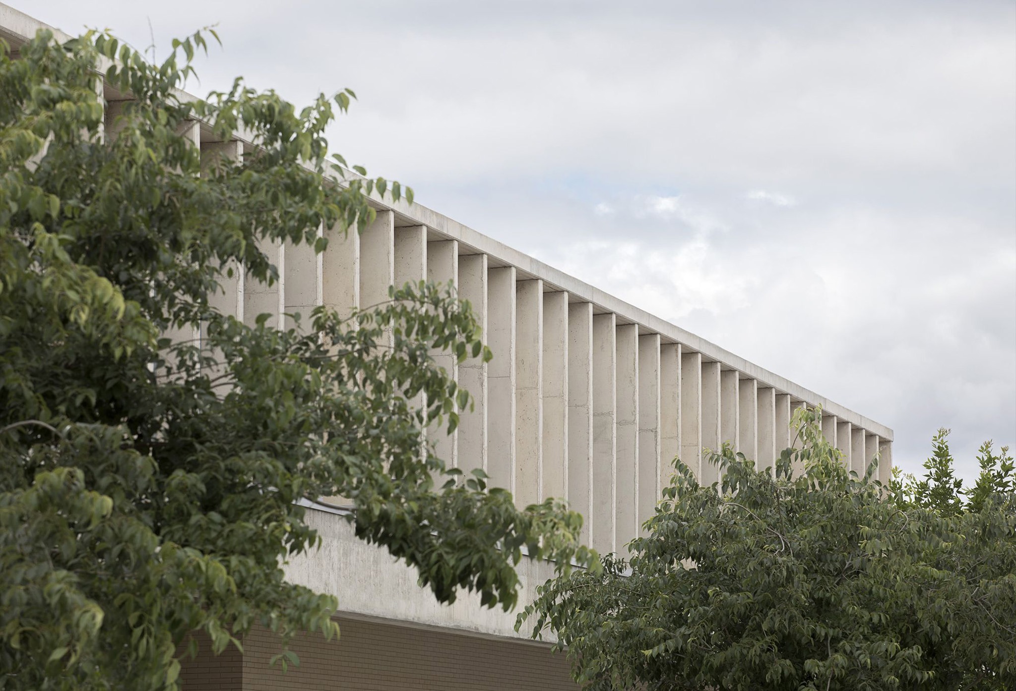 CEIP Malpartida by Tenor + Paradigma Estudio + Buró4 + Gabriel Verd Arquitectos. Photograph by Del Rio Bani.