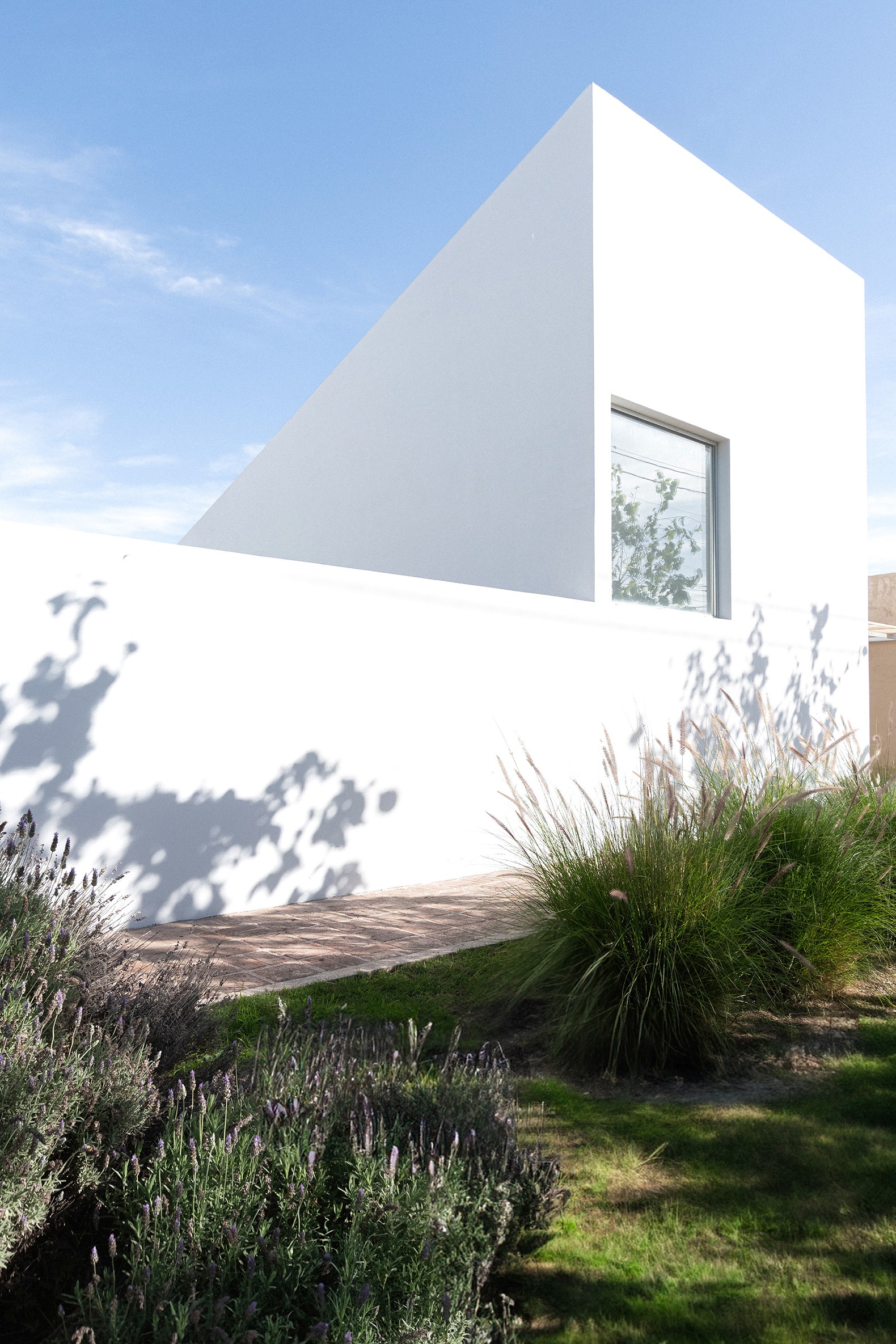 House for a tree by Esteras Perrote. Photograph by Juan Cruz Paredes.