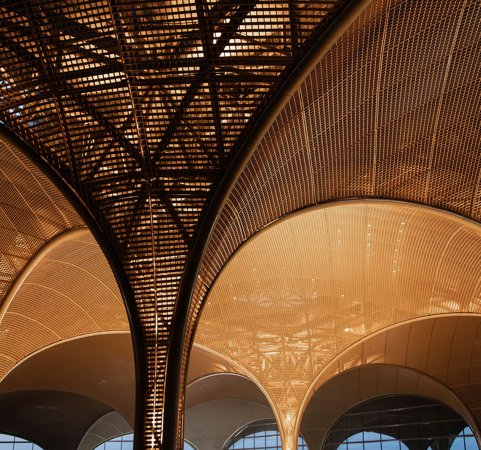 Aeropuerto Internacional Techo por Foster + Partners. Fotografía por Nigel Young. 