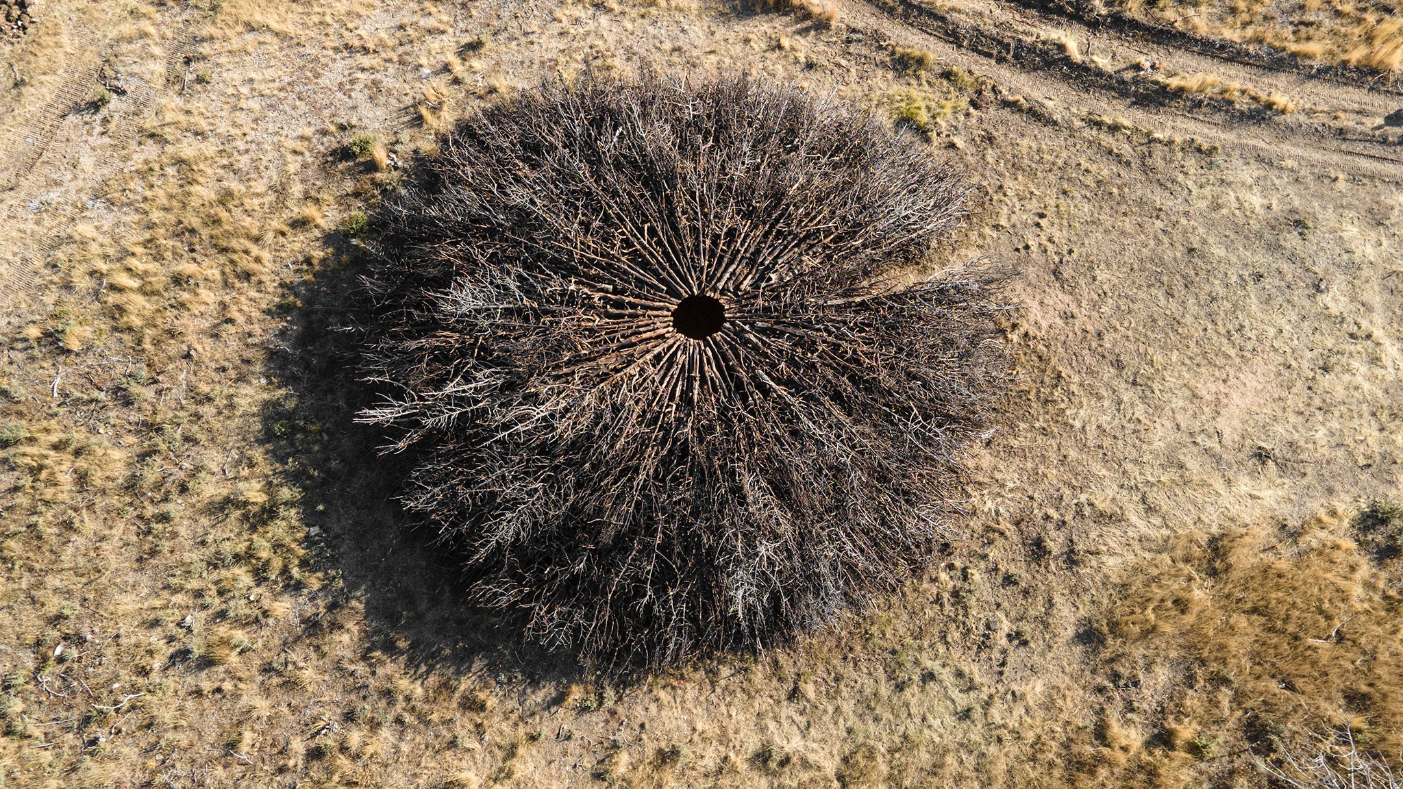 Socarrado por Nomad Studio. Fotografía por Nomad Studio. 