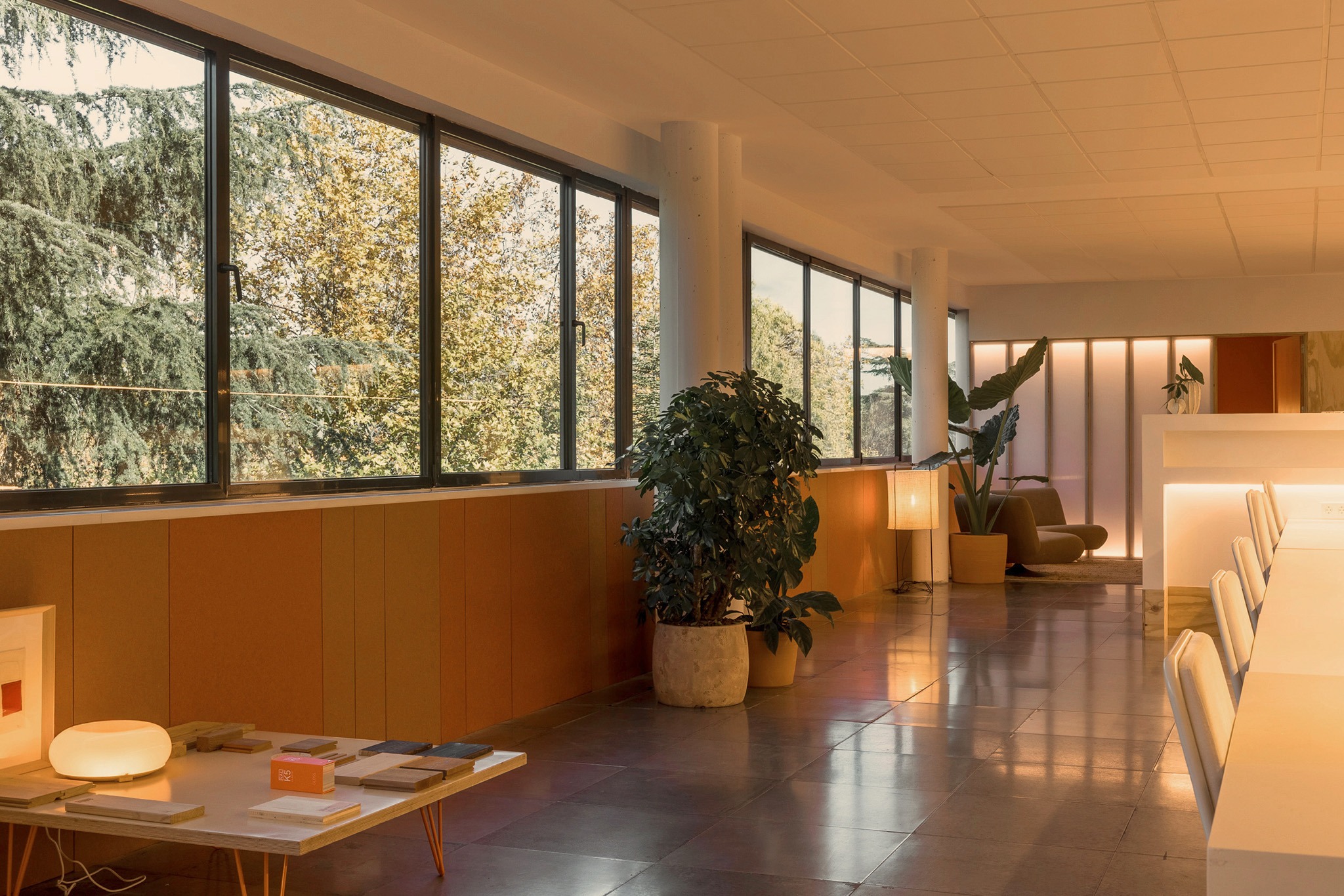 Tini HQ by delaVegaCanolasso. Photograph by Paco Marín.