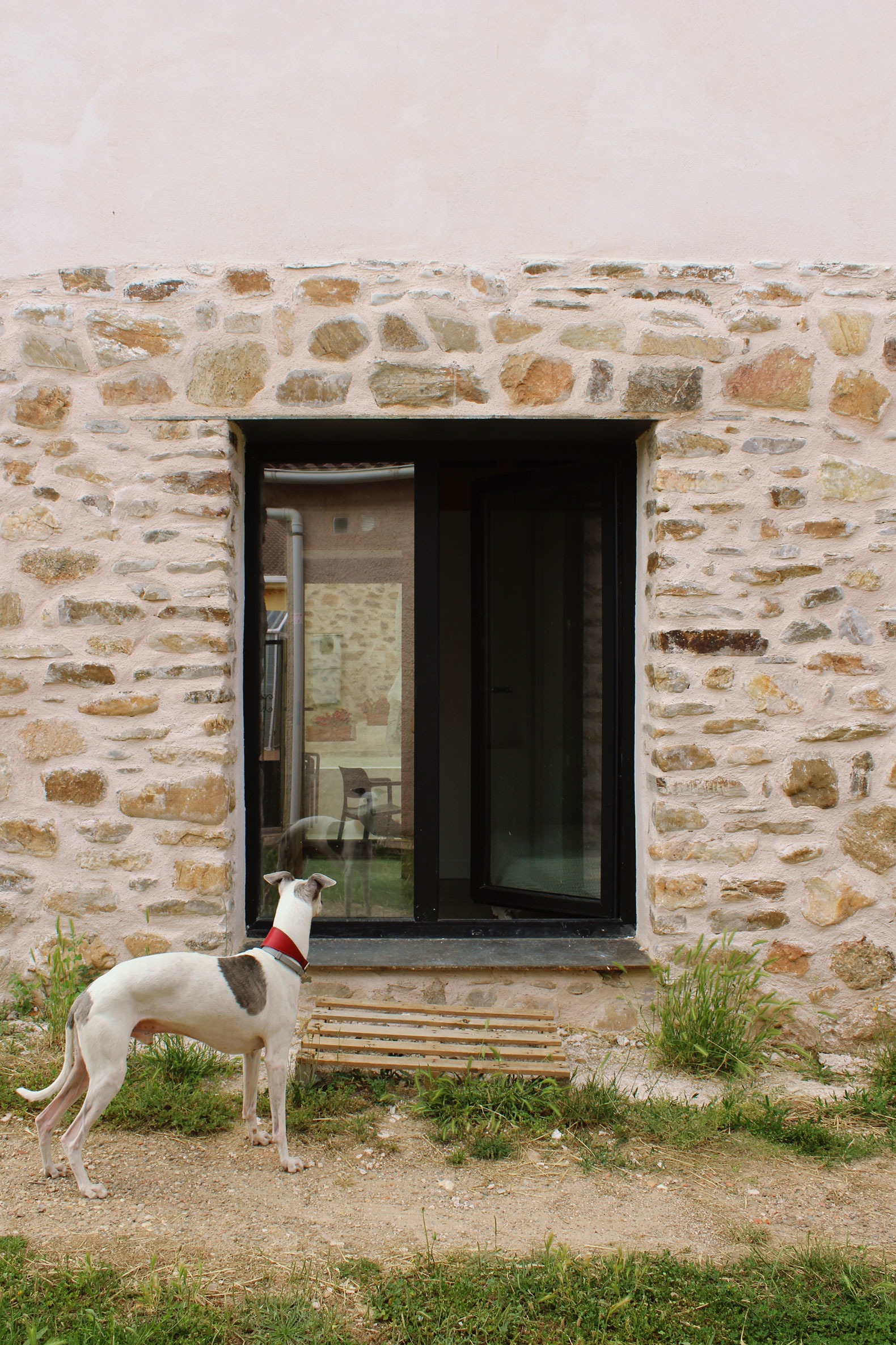 Emptied House by estudio veintidós. Photograph by estudio veintidós.