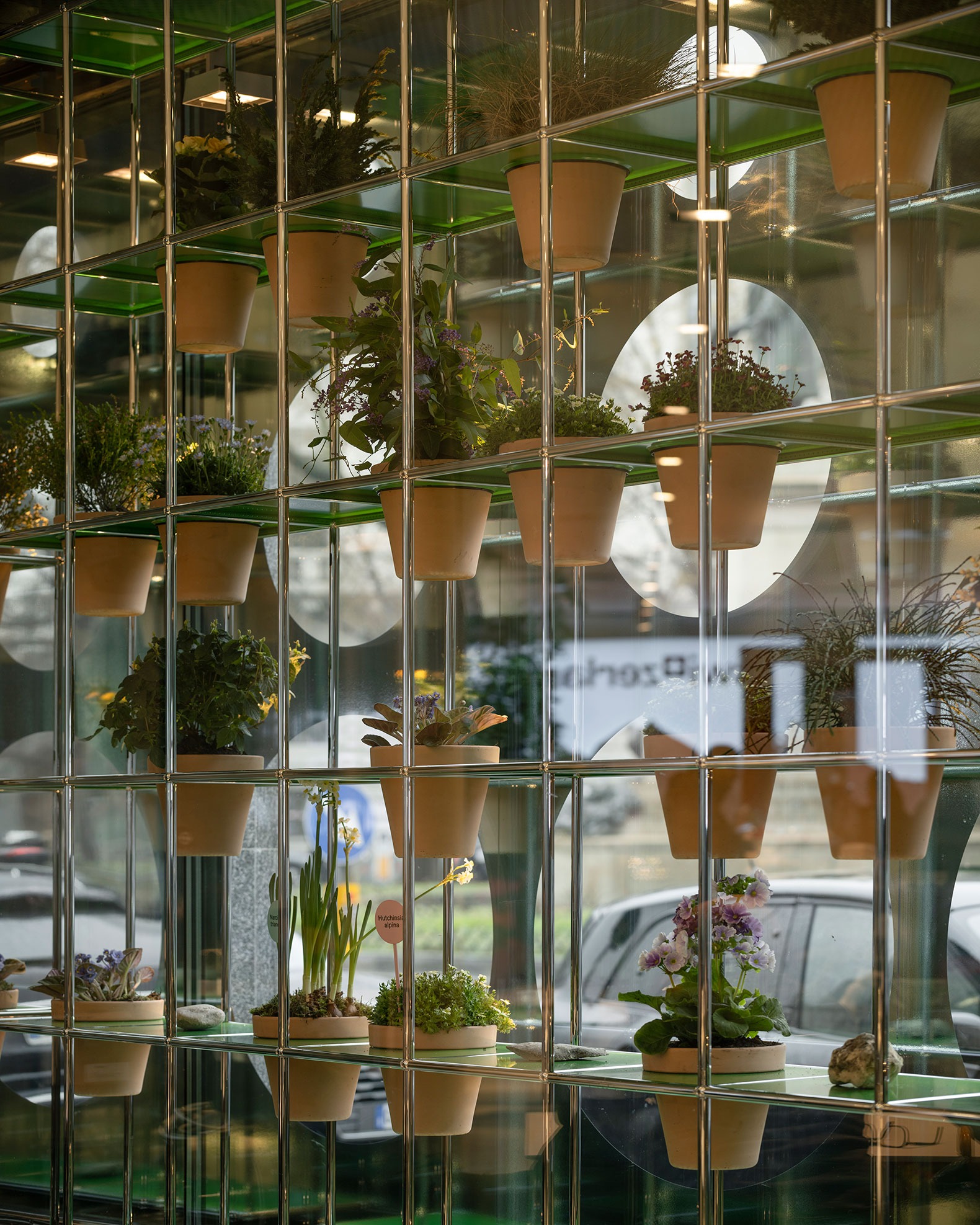 "Flora Alpina" by BUREAU. Photograph by Dylan Perrenoud.