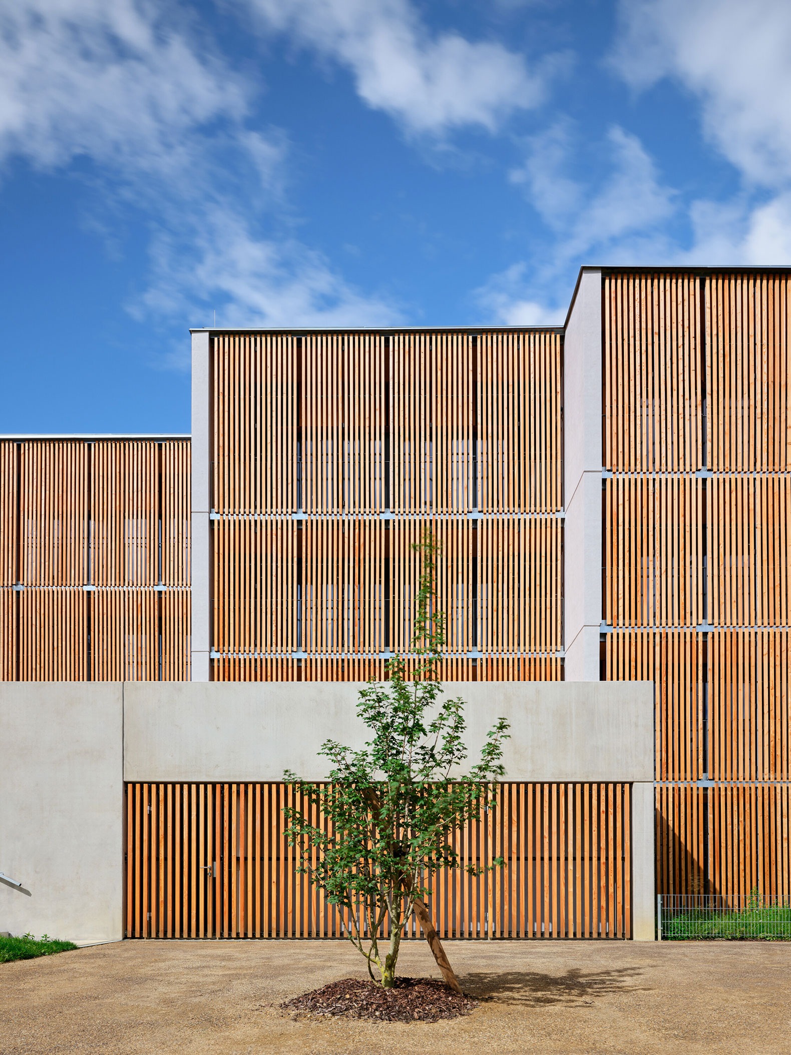 Viviendas de Madera Žďár por Kuba & Pilař architekti. Fotografía por BoysPlayNice.