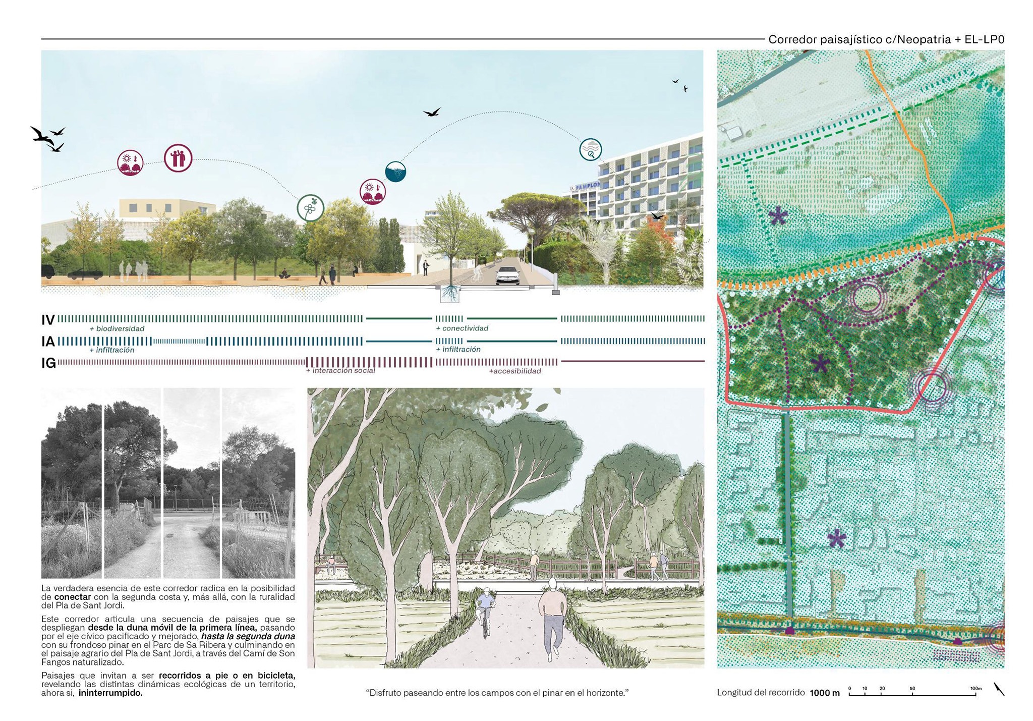 Plano de detalles. Plan Estratégico de Regeneración de Playa de Palma por LANDLAB + Fiol Aquitectes.