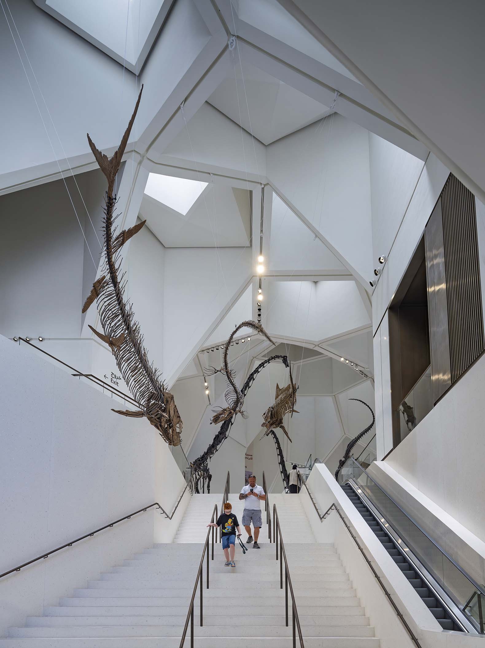 Museo de Historia Natural de Abu Dabi por Mecanoo. Fotografía por Ossip Architectuurfotografie.