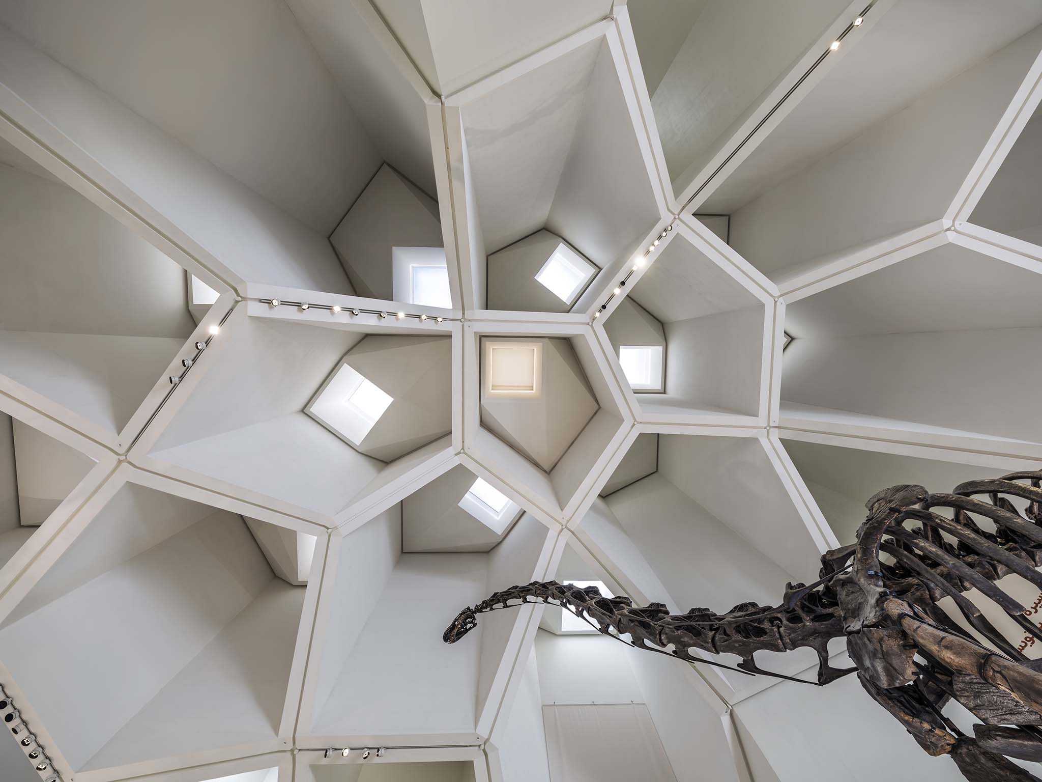 Museo de Historia Natural de Abu Dabi por Mecanoo. Fotografía por Ossip Architectuurfotografie.