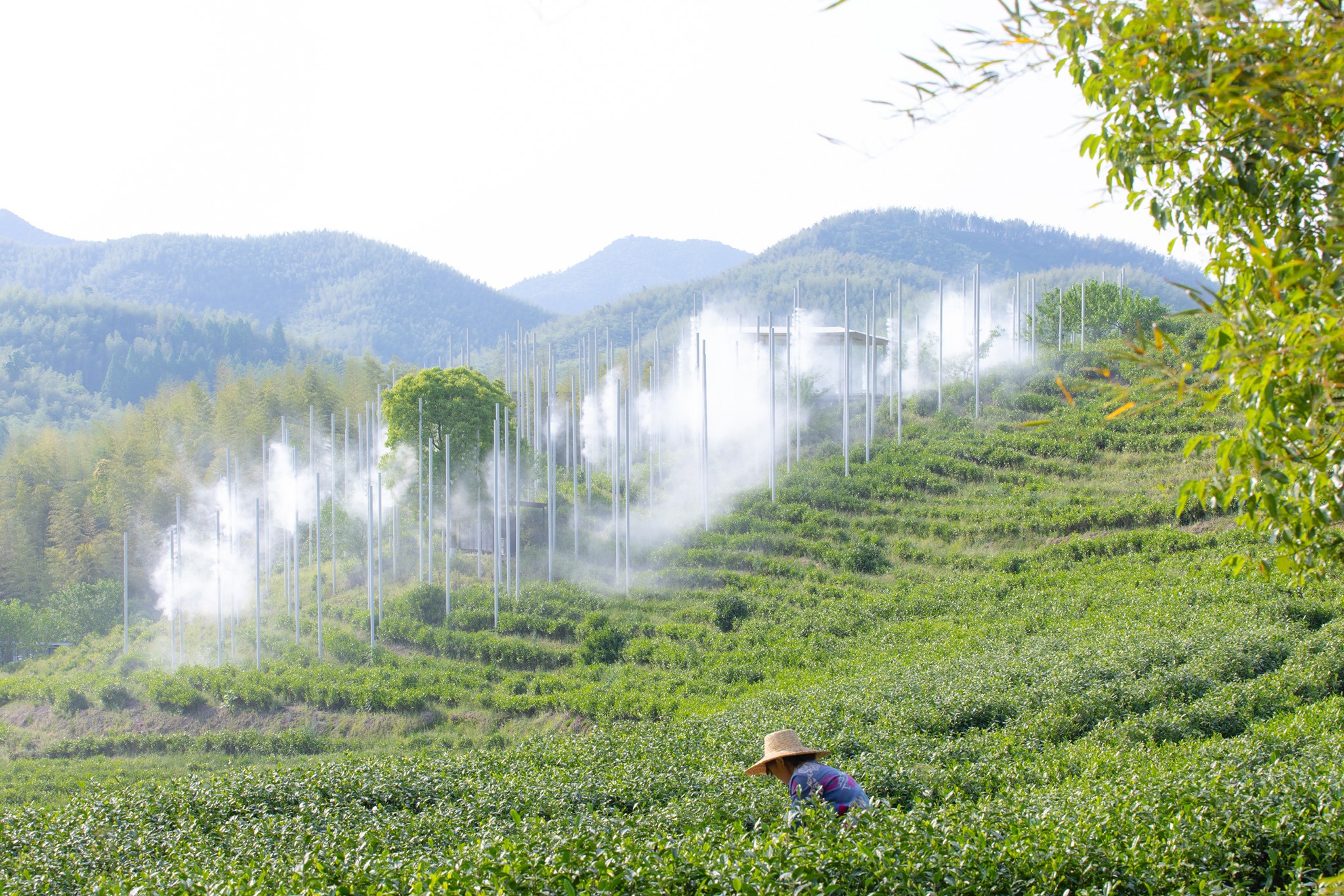 «Salón de té en la nube» por PLAT ASIA. Fotografía por YIXINJIA.