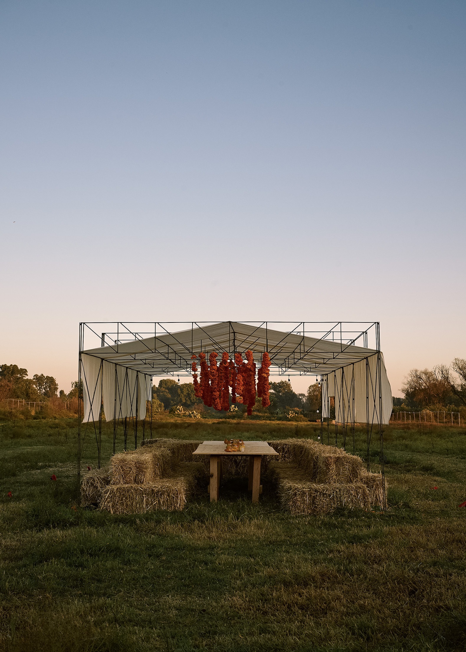 Cempasúchil Pavilion by COLAR Colectivo de Arquitectura. Photograph by Edgar García. 