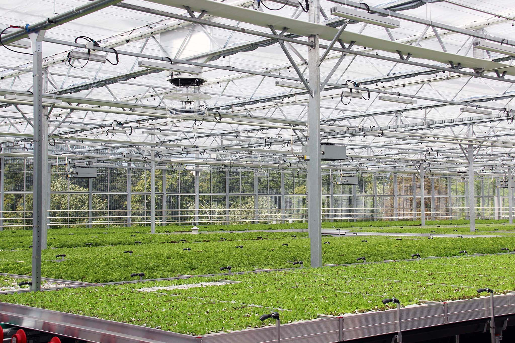 REWE Green Farming Berlin by ACME. Photograph by REWE.   