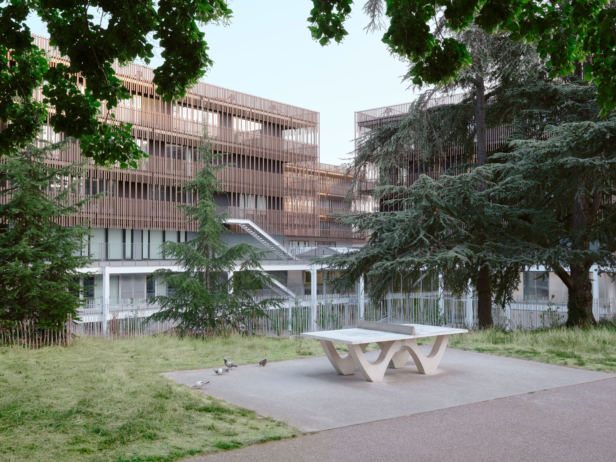 Campus du Parc by It's architecture. Photograph by Francesca Iove.