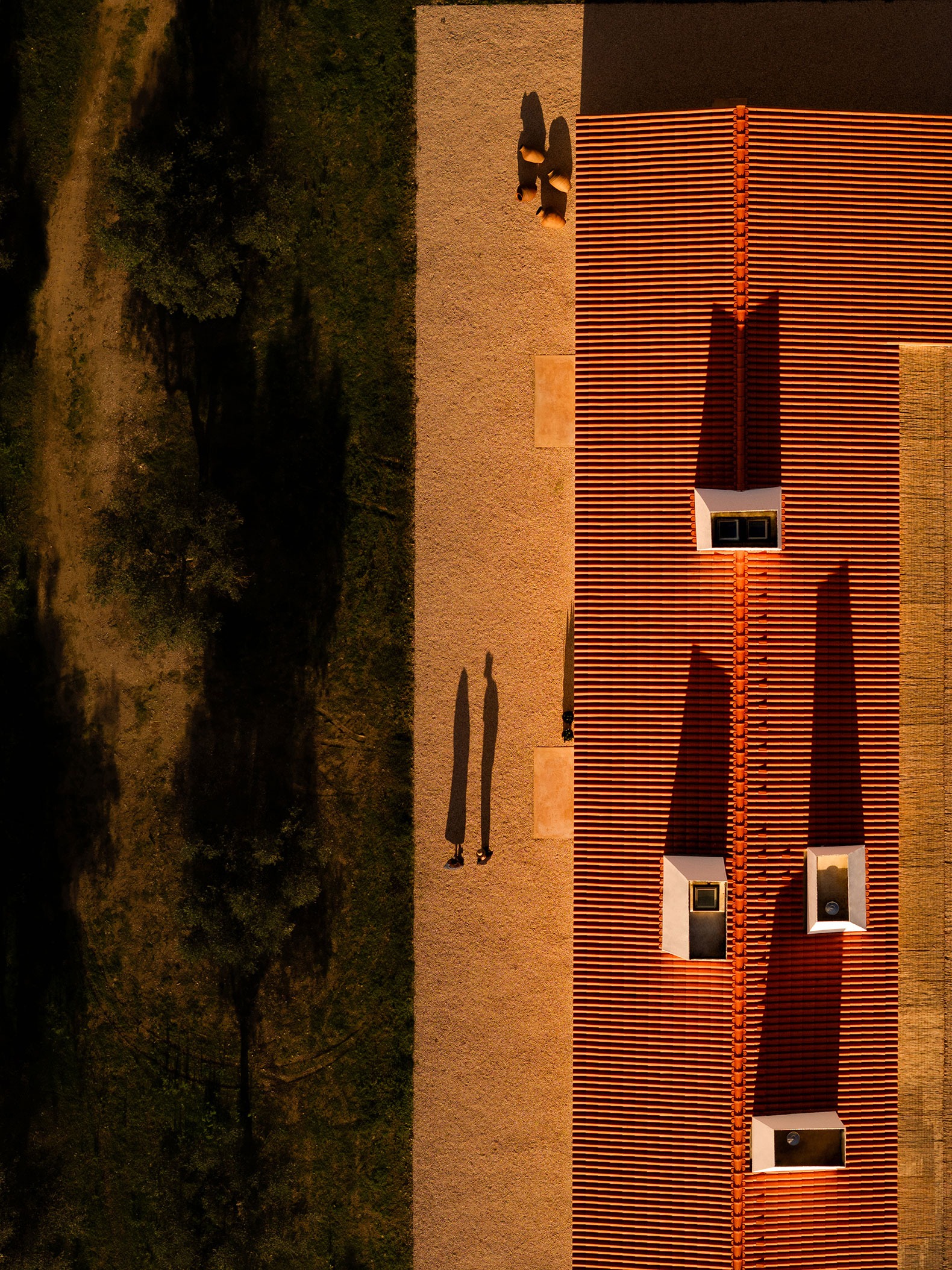 Monte Alvo House by NOZ Arquitectura. Photograph by Fernando Guerra.