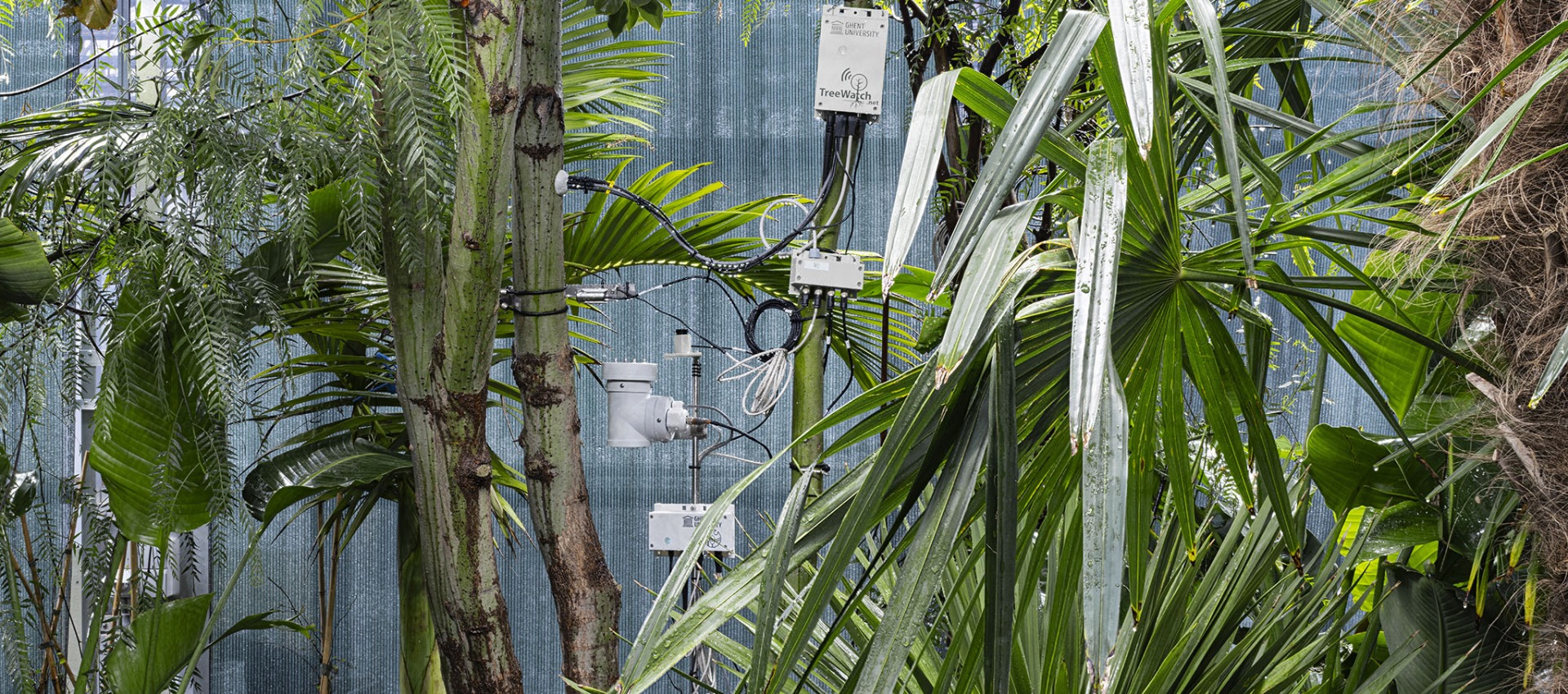 Building Biospheres by Bas Smets. Belgian Pavilion | METALOCUS
