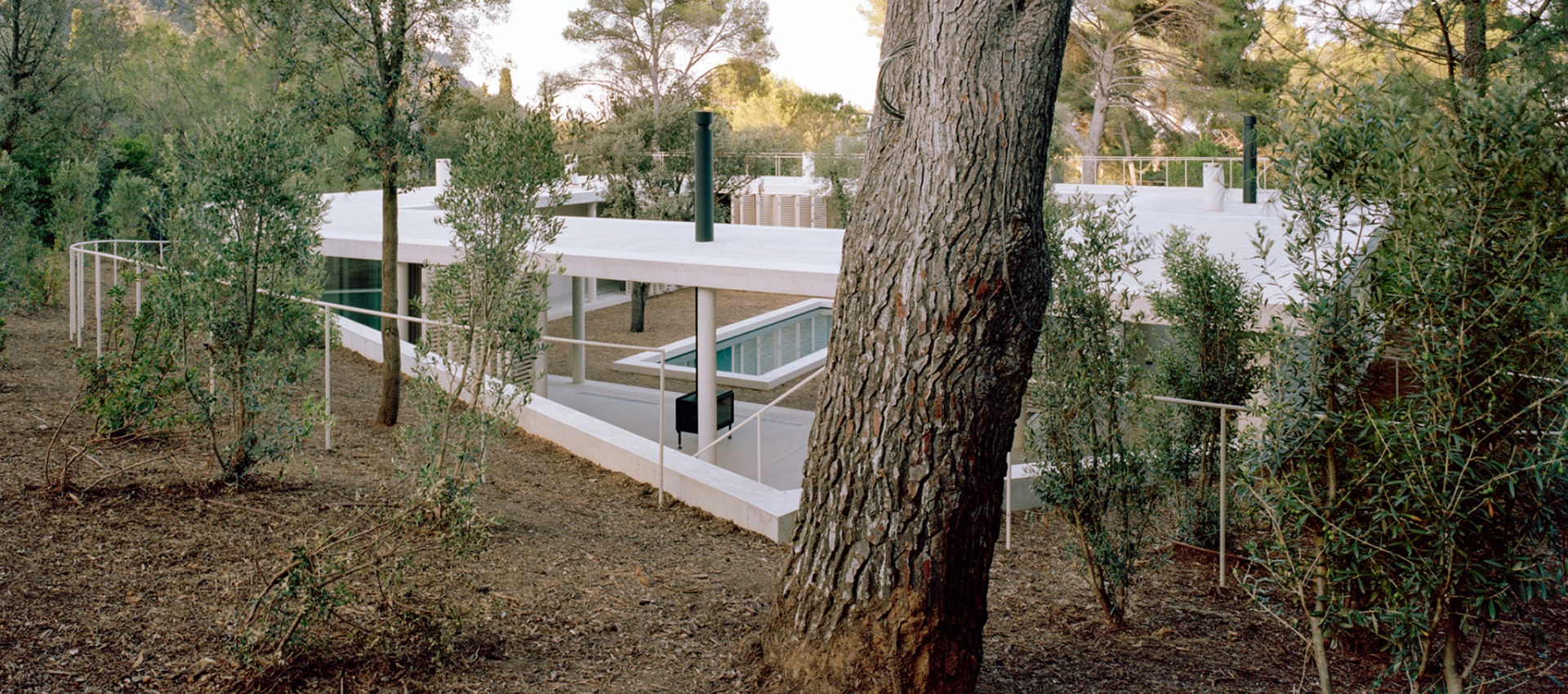 Open to its surroundings. Patio House by Arquitectura-G | METALOCUS